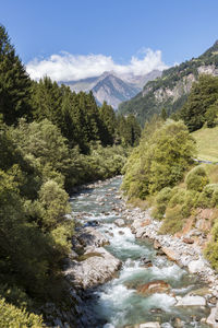 Scenic view of mountains and forest against sky