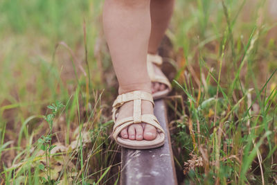 Low section of woman standing on grass