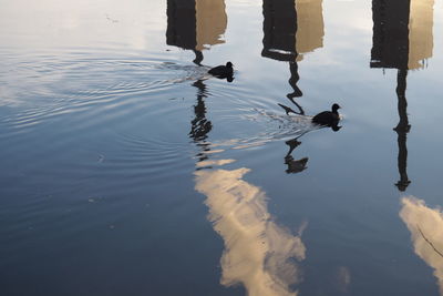 Reflection of smoke stack on lake