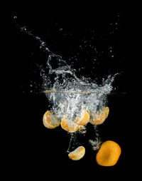 Close-up of jellyfish swimming in sea