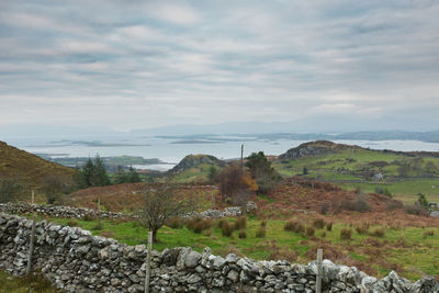 Scenic view of vineyard against sky