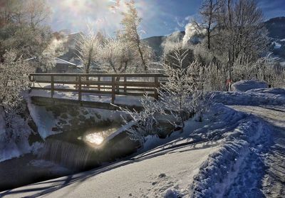 Close-up of snow covered trees against sky