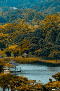 Scenic view of lake in forest during autumn