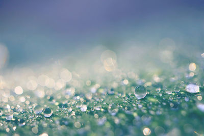 Close-up of water drops on leaf