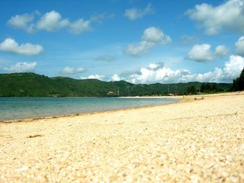 Scenic view of beach