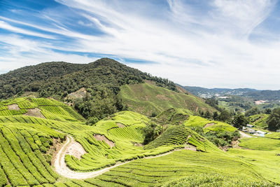 High angle view of agricultural field against sky