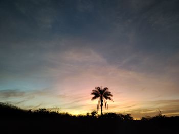 Low angle view of palm trees against sky during sunset