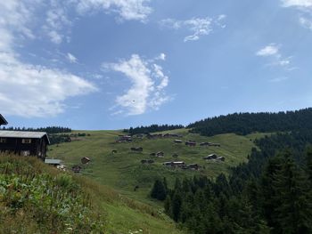 Scenic view of landscape against sky
