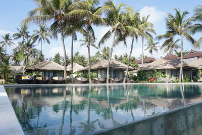 Palm trees by swimming pool against sky