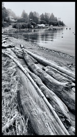 Scenic view of beach