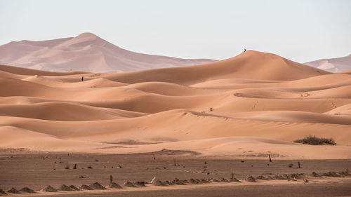 Scenic view of sand dunes in desert against sky