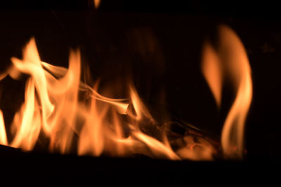 Close-up of fire in the dark