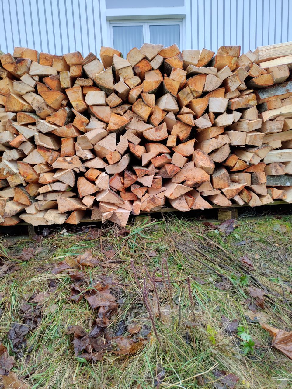 STACK OF LOGS IN A FOREST