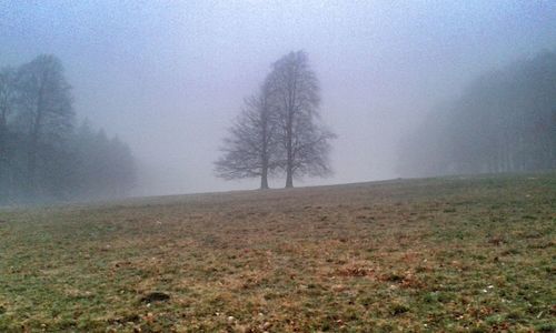 Scenic view of field in foggy weather