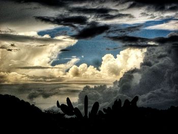 Low angle view of silhouette birds perching on sky