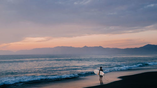 Silhouette of bird on beach against sky during sunset