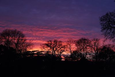 Silhouette trees against sky at sunset