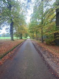 Road amidst trees during autumn