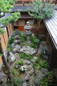 Potted plants outside house in yard