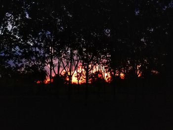 Silhouette trees in forest against sky at sunset