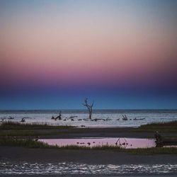 Scenic view of sea at sunset