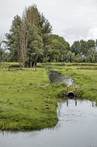 Scenic view of ditch with trees in background