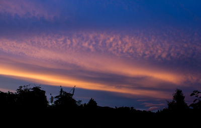 Silhouette trees against sky during sunset