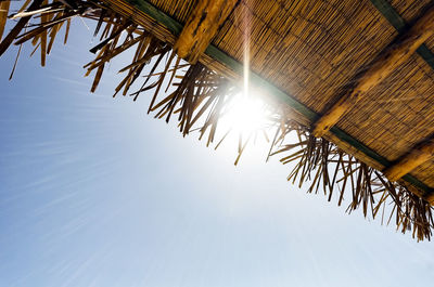 Low angle view of palm trees against clear blue sky