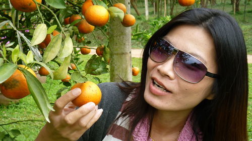 Close-up of mature woman holding orange on tree