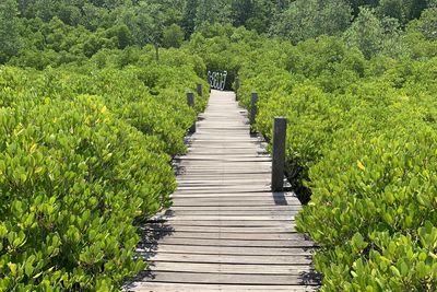 View of empty boardwalk