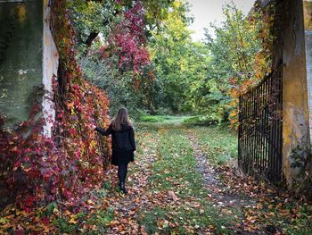 Rear view of woman in black in a secret garden with colorful ivy growing on the gates