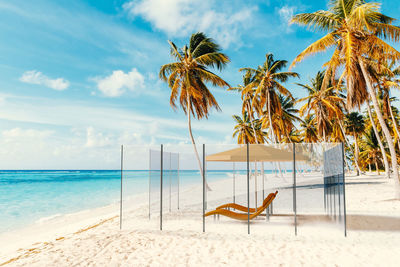 Coconut palm trees on beach against sky