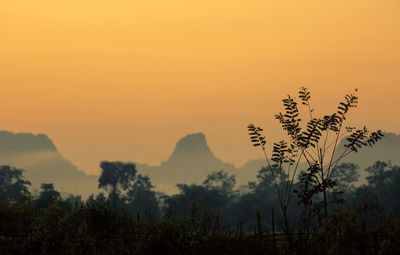 Silhouette trees on landscape against sky during sunset