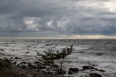 Scenic view of landscape against sky