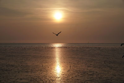 View of birds flying over sea at sunset