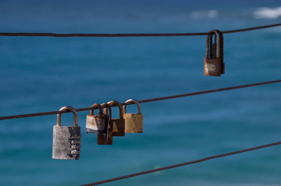 Close-up of padlocks on rope