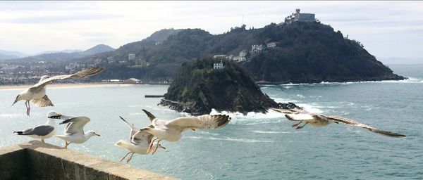 Seagulls flying over sea against sky