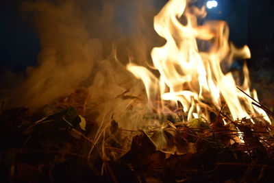 Close-up of fire at night