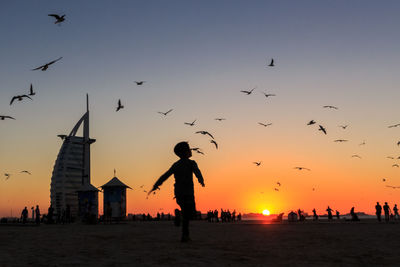 Silhouette boy running against flying birds against sky during sunset in city