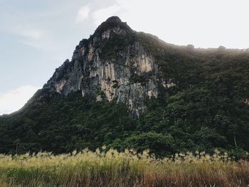 Low angle view of idyllic shot of land against sky