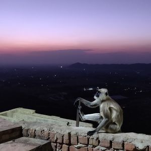 Monkey sitting on wall by mountain against sky