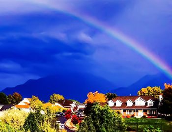 Rainbow over trees against blue sky