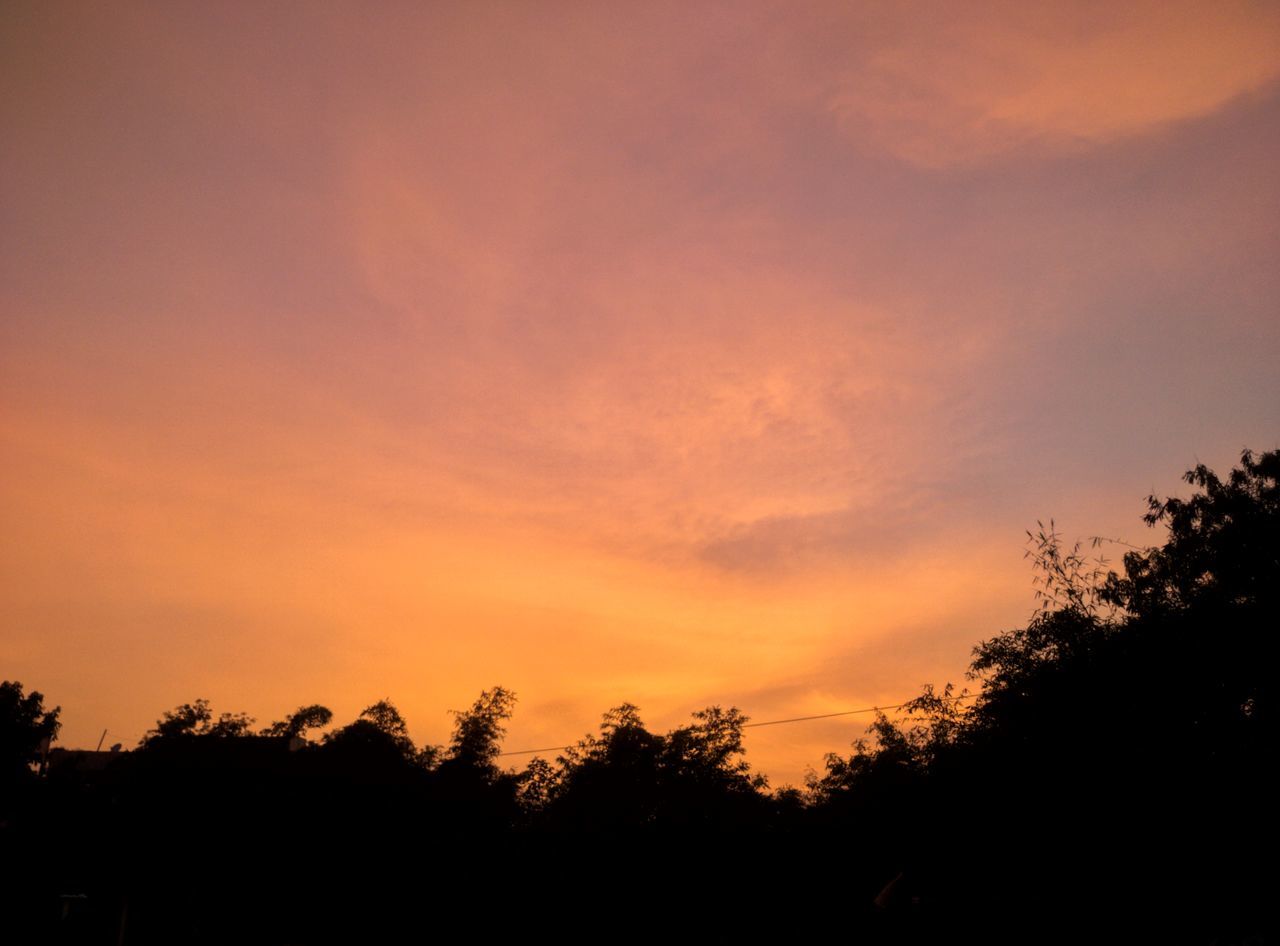 tree, sunset, silhouette, sky, beauty in nature, plant, tranquility, scenics - nature, cloud - sky, tranquil scene, orange color, nature, no people, idyllic, growth, non-urban scene, outdoors, low angle view, dramatic sky, land