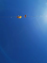 Low angle view of kite hanging on rope against clear blue sky