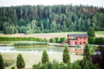 Scenic view of lake in forest