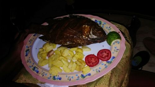 Close-up of food in plate