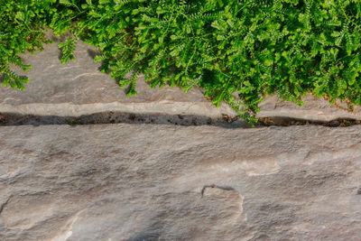 High angle view of rocks on land