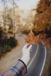 Close-up of person hand on maple leaf during autumn