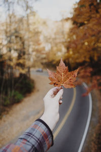 Cropped hand of person holding dry maple leaf