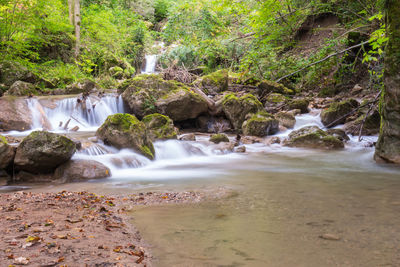 Scenic view of waterfall in forest